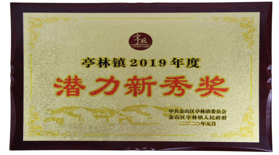 上海亭林鎮(zhèn)潛力新秀獎(jiǎng)